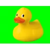 Yellow rubber duck. This image is in the public domain.